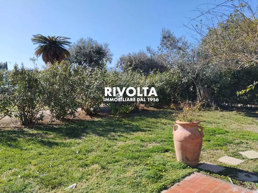 Immagine 19 di Villa in affitto  in Strada vicinale dei poggi a Orbetello