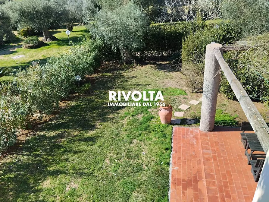 Immagine 20 di Villa in affitto  in Strada vicinale dei poggi a Orbetello