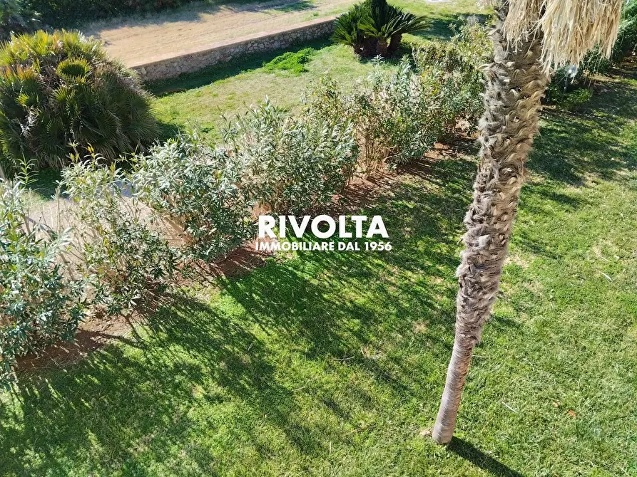 Immagine 22 di Villa in affitto  in Strada vicinale dei poggi a Orbetello