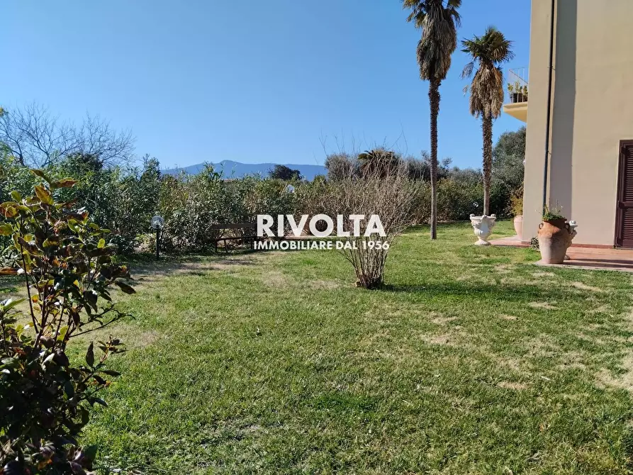 Immagine 23 di Villa in affitto  in Strada vicinale dei poggi a Orbetello