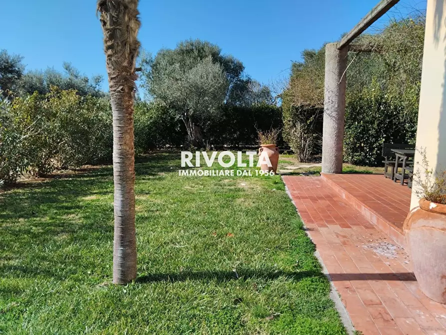 Immagine 24 di Villa in affitto  in Strada vicinale dei poggi a Orbetello