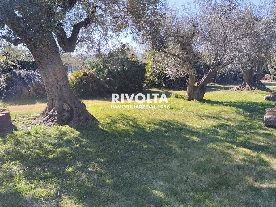 Immagine 25 di Villa in affitto  in Strada vicinale dei poggi a Orbetello