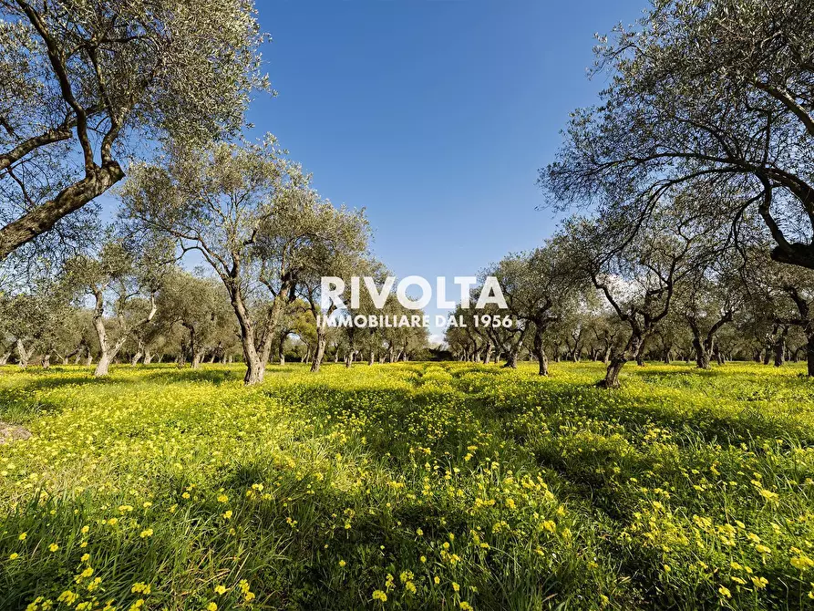 terreno agricolo in vendita ad Alghero