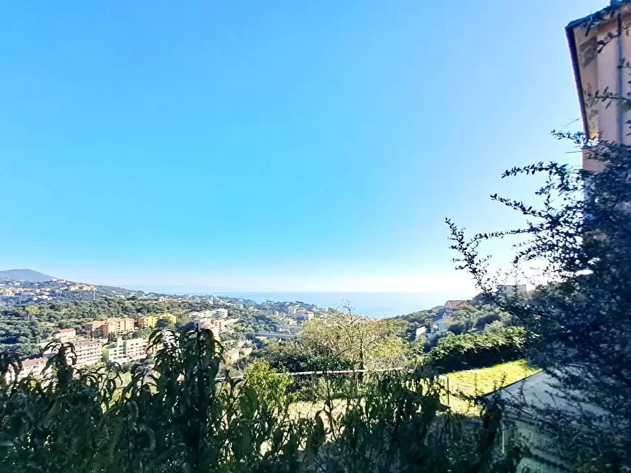 Immagine 14 di Casa bifamiliare in vendita  in Via Cassisi a Celle Ligure