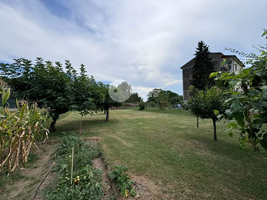 Immagine 6 di Villa in vendita  in Via Trieste a Manerbio