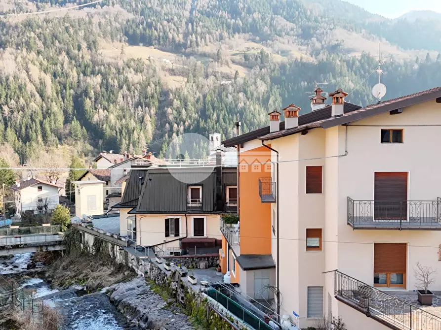 Immagine 4 di Appartamento in vendita  in Via Scaletti a Collio