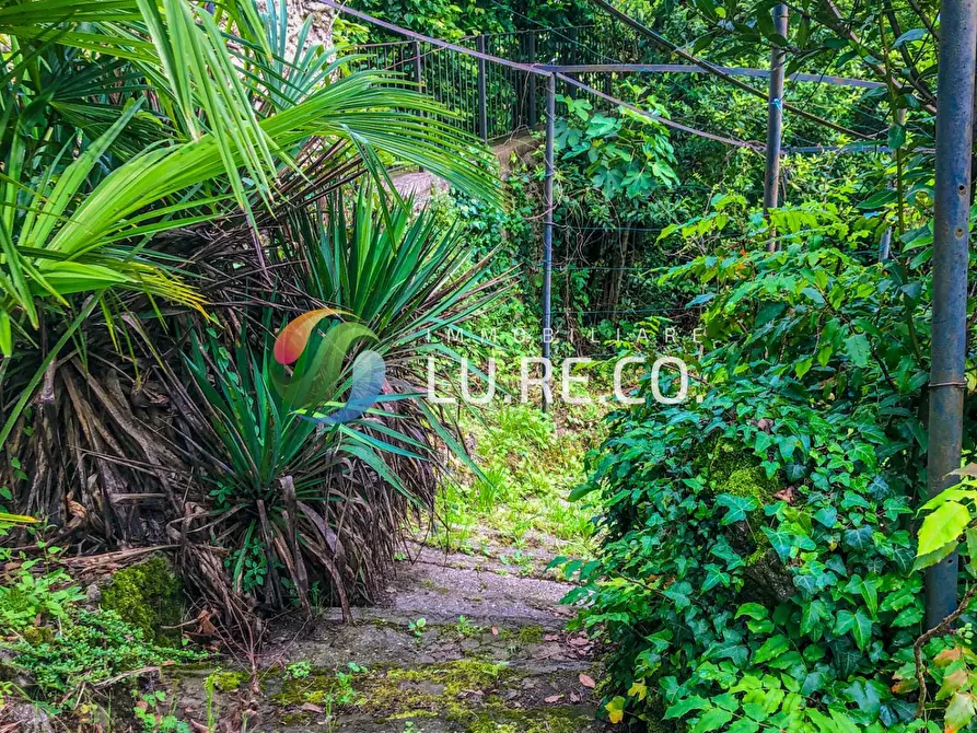 Immagine 24 di Casa bifamiliare in vendita  in Isonzo a Inverigo