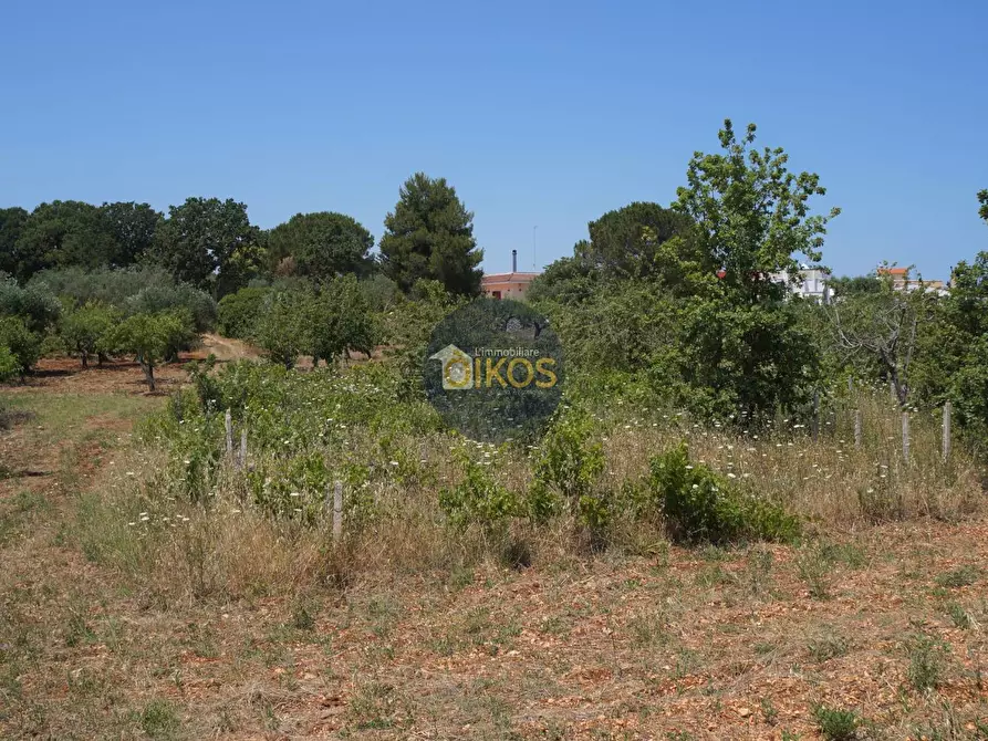Immagine 20 di Terreno agricolo in vendita  in Contrada Romanazzi a Monopoli