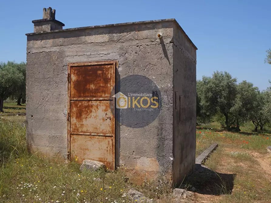 Immagine 2 di Terreno agricolo in vendita  in contrada masciola a Fasano