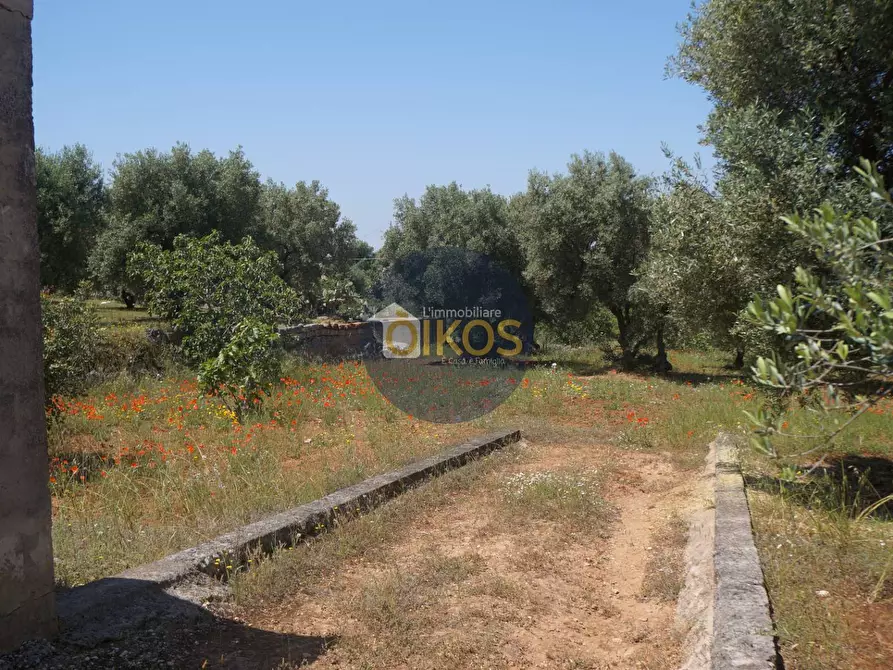 Immagine 9 di Terreno agricolo in vendita  in contrada masciola a Fasano