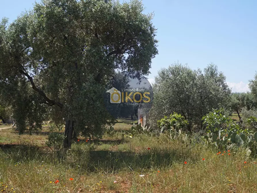 Immagine 14 di Terreno agricolo in vendita  in contrada masciola a Fasano