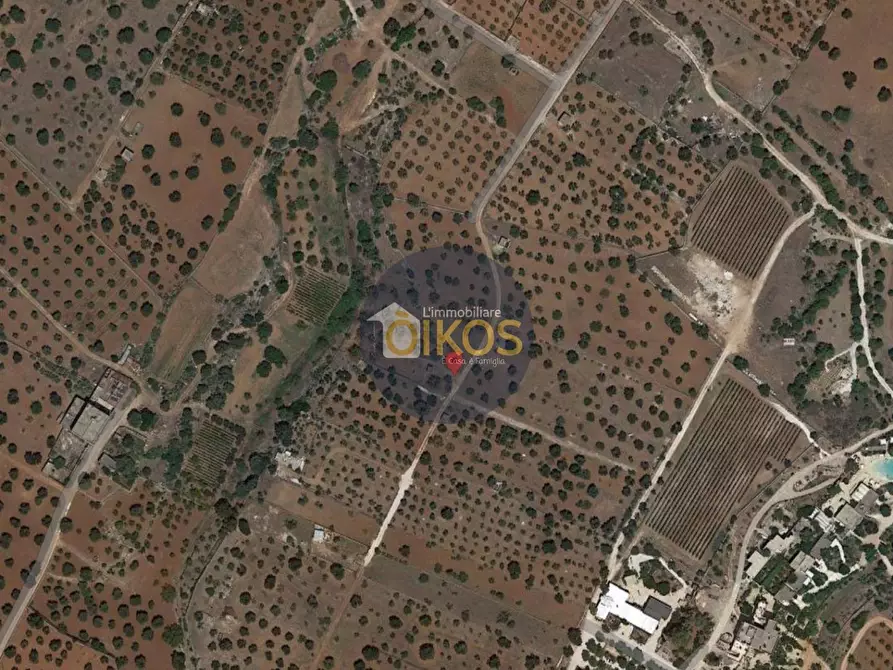 Immagine 17 di Terreno agricolo in vendita  in contrada masciola a Fasano