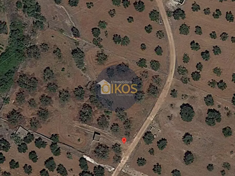 Immagine 18 di Terreno agricolo in vendita  in contrada masciola a Fasano