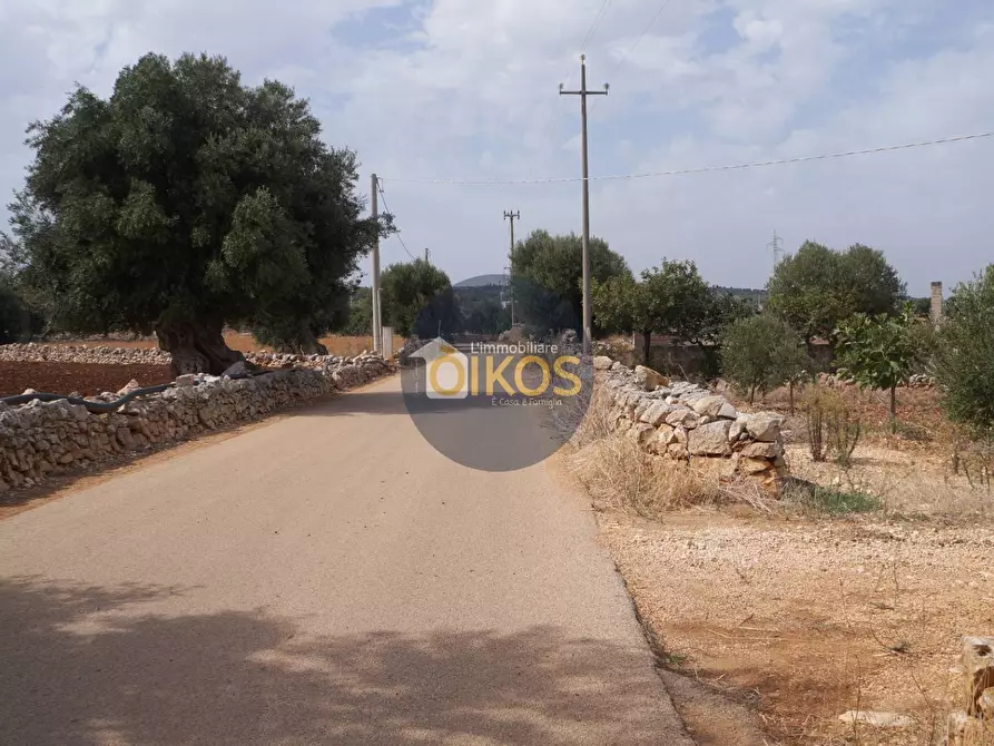 Immagine 2 di Terreno agricolo in vendita  in Strada Comunale Fusella a Polignano A Mare