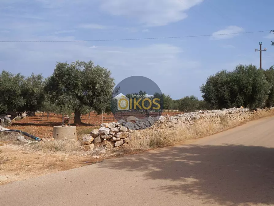 Immagine 3 di Terreno agricolo in vendita  in Strada Comunale Fusella a Polignano A Mare