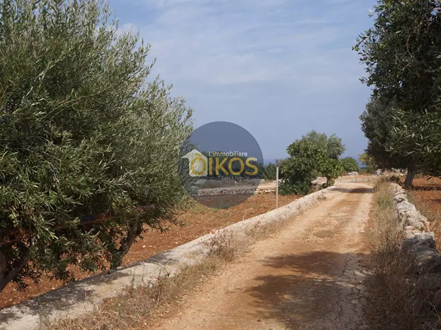 Immagine 4 di Terreno agricolo in vendita  in Strada Comunale Fusella a Polignano A Mare