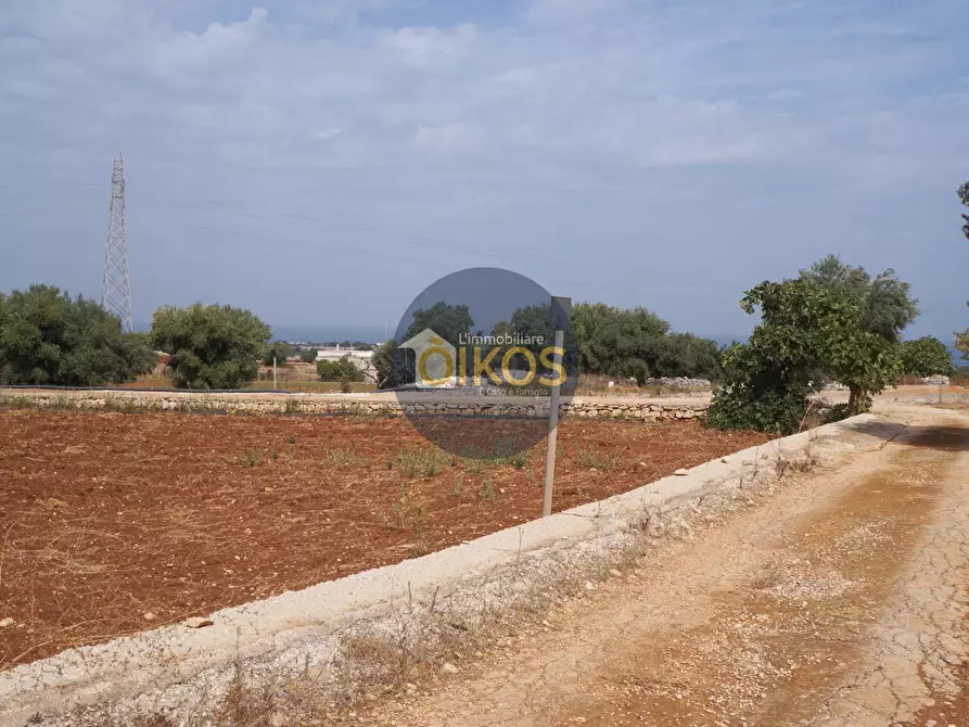 Immagine 5 di Terreno agricolo in vendita  in Strada Comunale Fusella a Polignano A Mare