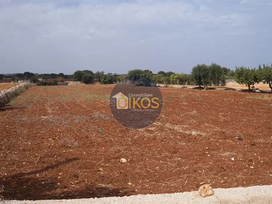 Immagine 6 di Terreno agricolo in vendita  in Strada Comunale Fusella a Polignano A Mare