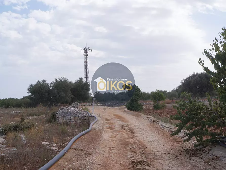 Immagine 7 di Terreno agricolo in vendita  in Strada Comunale Fusella a Polignano A Mare