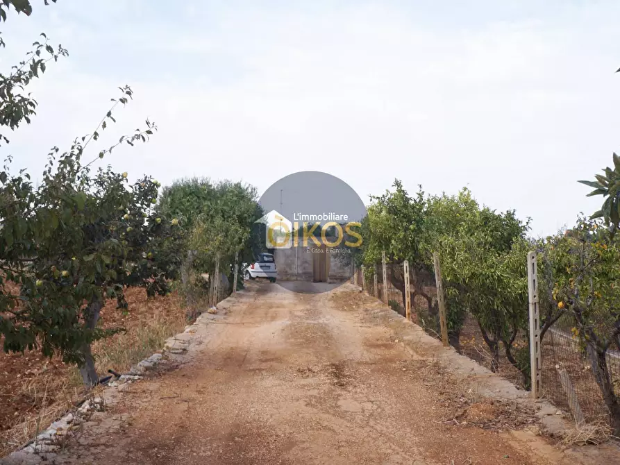 Immagine 8 di Terreno agricolo in vendita  in Strada Comunale Fusella a Polignano A Mare