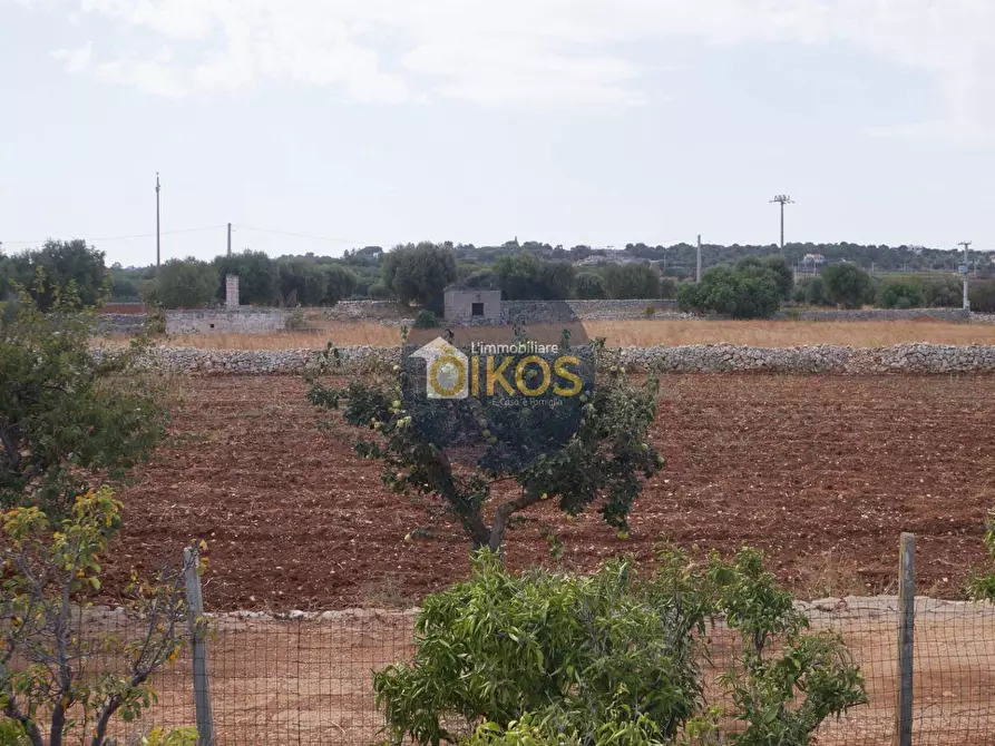 Immagine 18 di Terreno agricolo in vendita  in Strada Comunale Fusella a Polignano A Mare