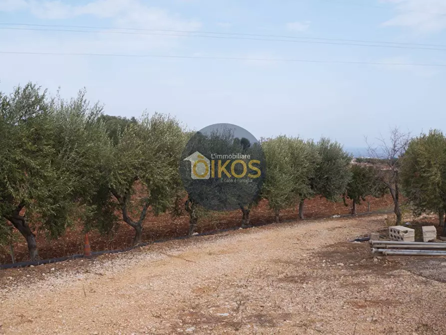 Immagine 28 di Terreno agricolo in vendita  in Strada Comunale Fusella a Polignano A Mare