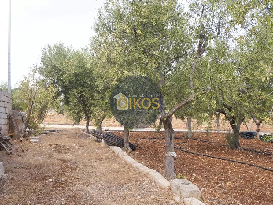 Immagine 30 di Terreno agricolo in vendita  in Strada Comunale Fusella a Polignano A Mare