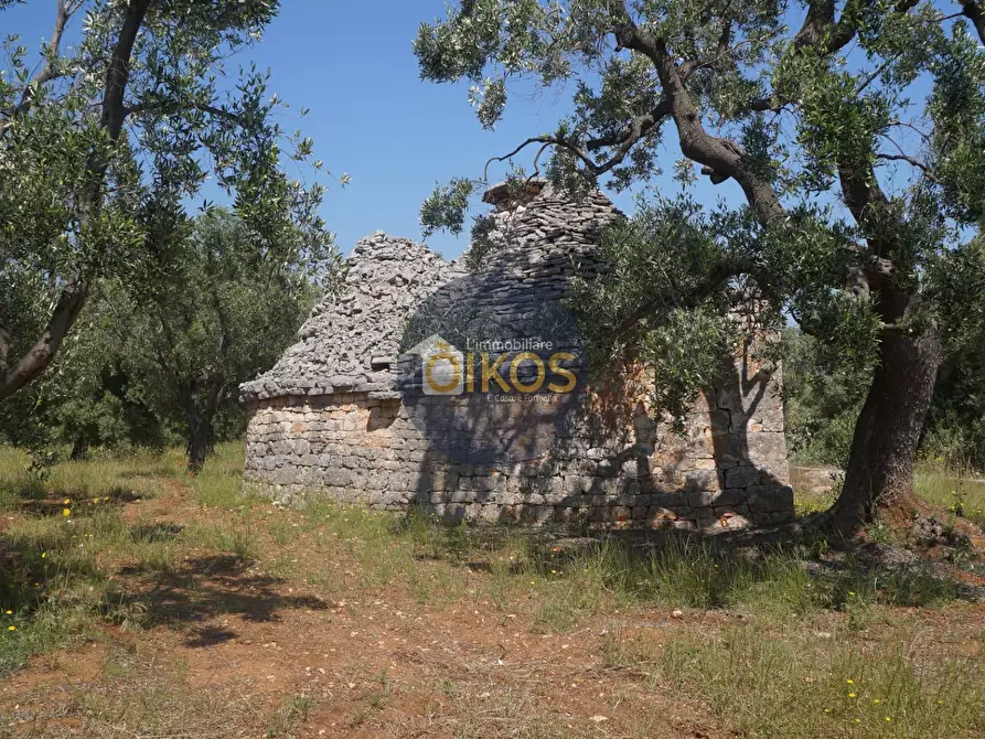 Immagine 5 di Rustico / casale in vendita  in contrada salamina a Fasano