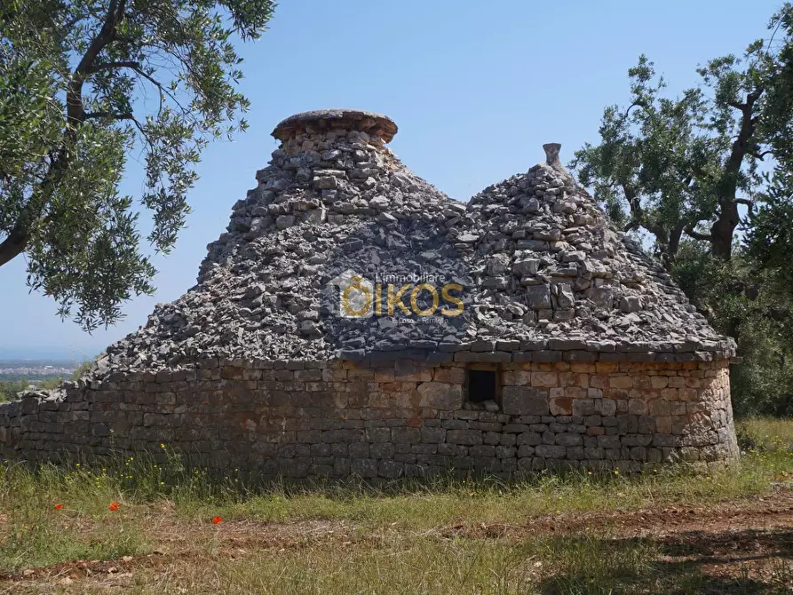 Immagine 8 di Rustico / casale in vendita  in contrada salamina a Fasano