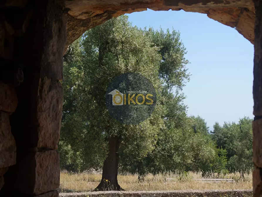Immagine 10 di Rustico / casale in vendita  in contrada salamina a Fasano