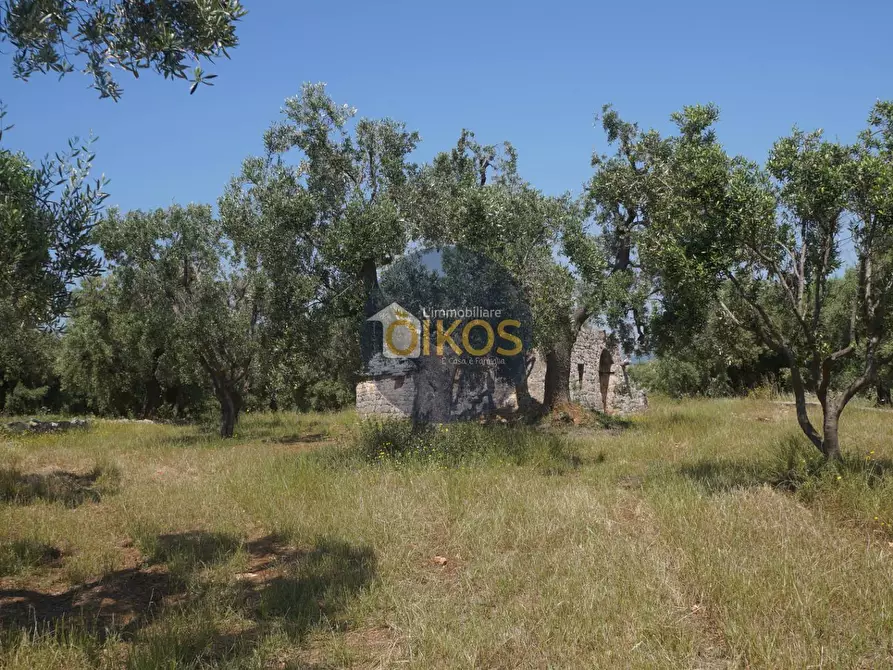 Immagine 19 di Rustico / casale in vendita  in contrada salamina a Fasano