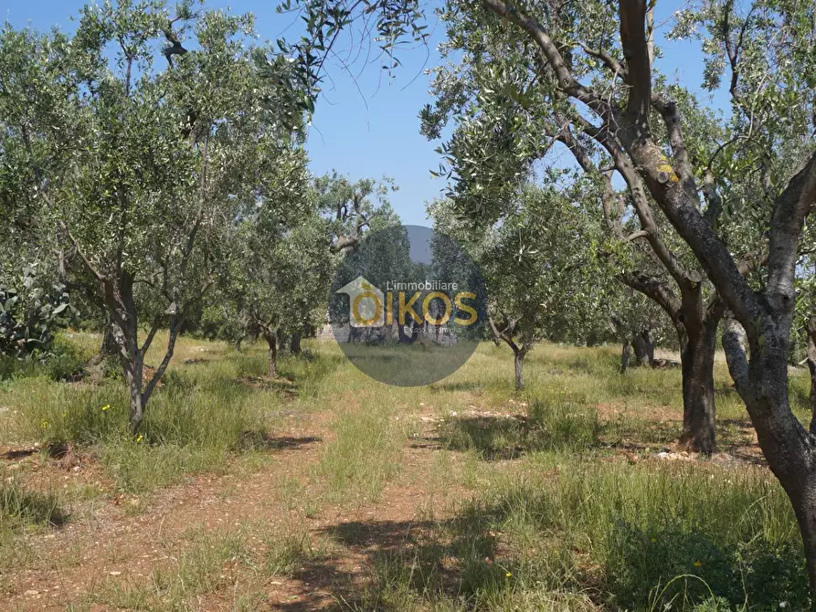 Immagine 20 di Rustico / casale in vendita  in contrada salamina a Fasano