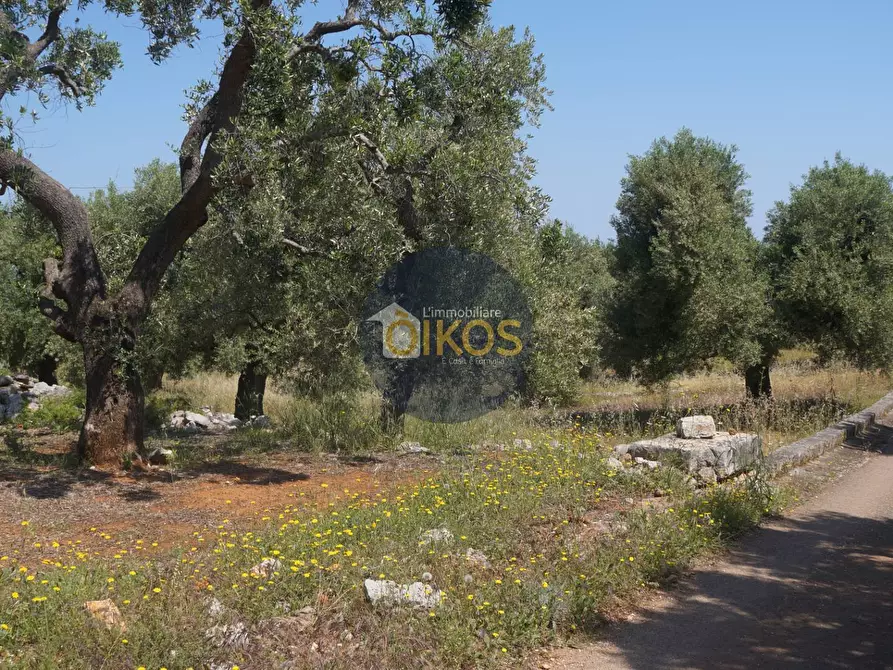 Immagine 22 di Rustico / casale in vendita  in contrada salamina a Fasano