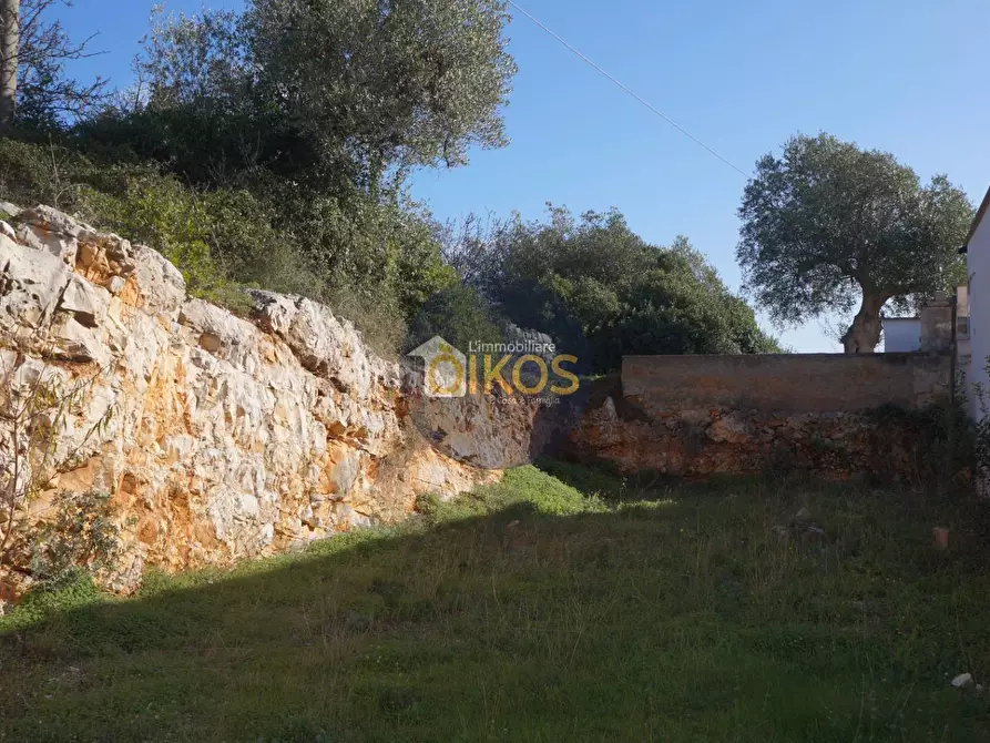 Immagine 21 di Agriturismo in vendita  in contrada S. Vincenzo a Monopoli