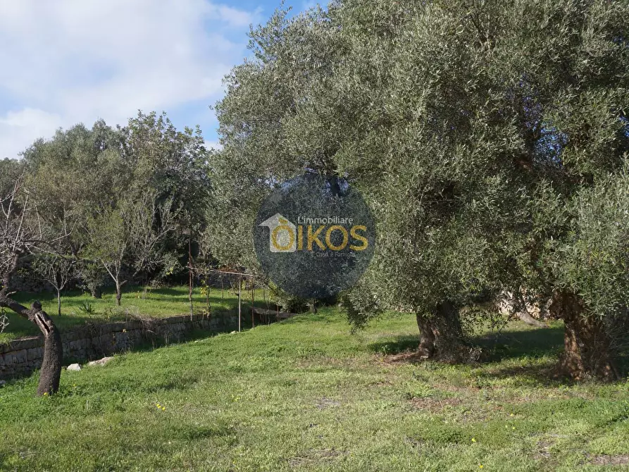 Immagine 23 di Agriturismo in vendita  in contrada S. Vincenzo a Monopoli