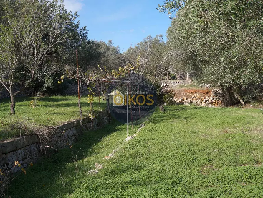 Immagine 24 di Agriturismo in vendita  in contrada S. Vincenzo a Monopoli