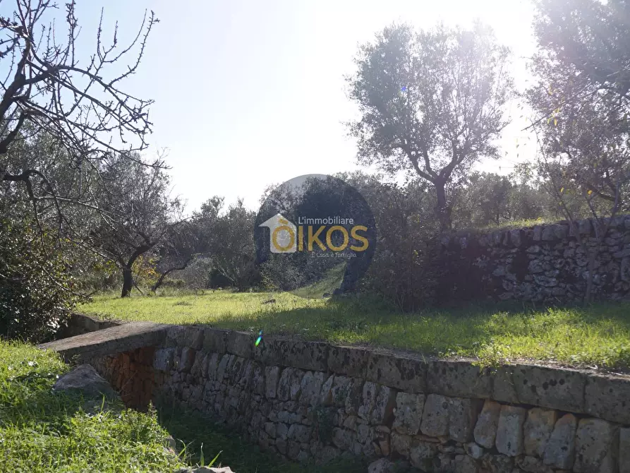 Immagine 25 di Agriturismo in vendita  in contrada S. Vincenzo a Monopoli