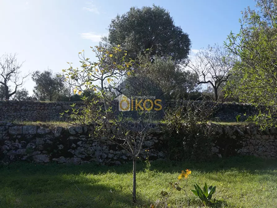 Immagine 26 di Agriturismo in vendita  in contrada S. Vincenzo a Monopoli