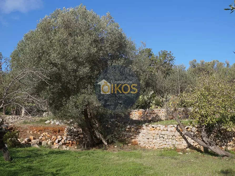 Immagine 27 di Agriturismo in vendita  in contrada S. Vincenzo a Monopoli