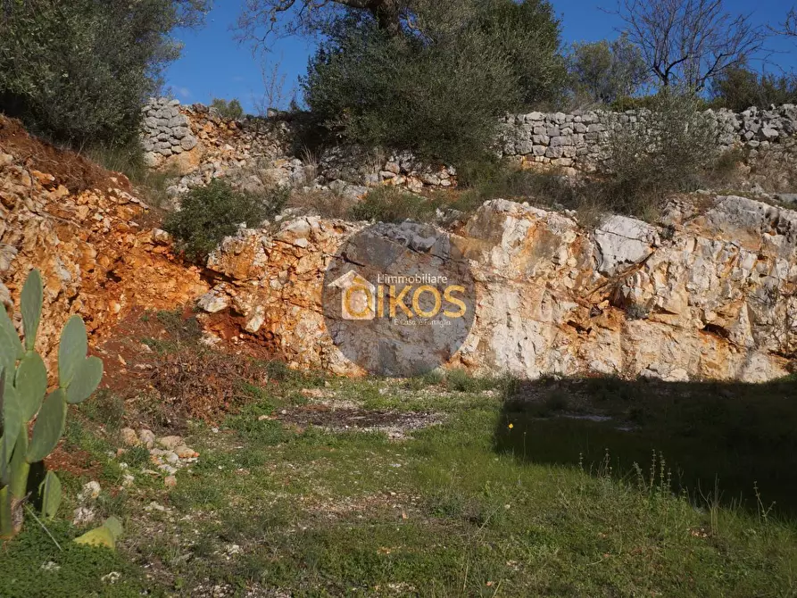 Immagine 28 di Agriturismo in vendita  in contrada S. Vincenzo a Monopoli