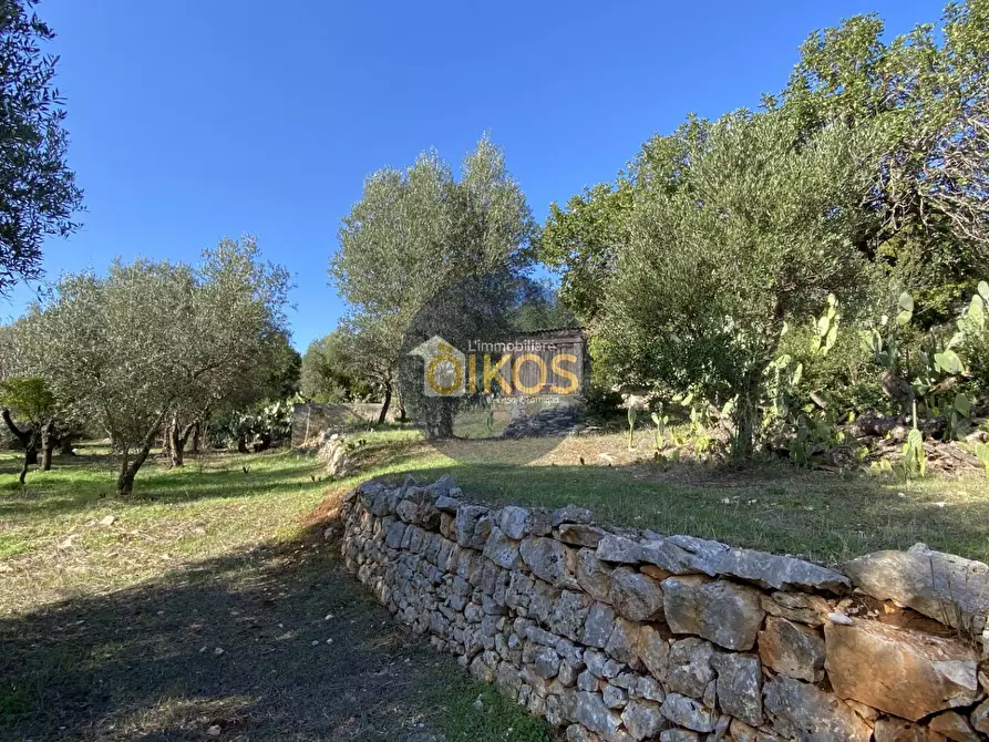 Immagine 29 di Agriturismo in vendita  in contrada S. Vincenzo a Monopoli