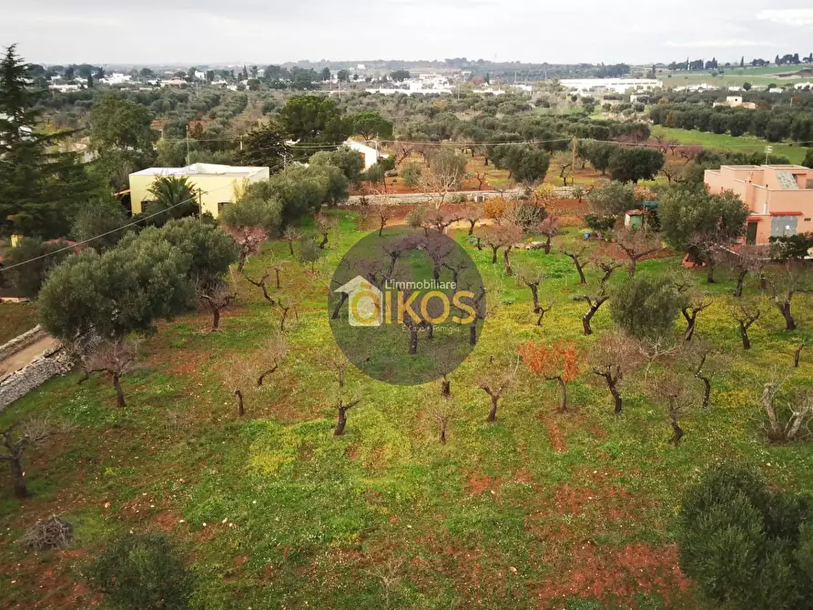 Immagine 1 di Terreno agricolo in vendita  in C.da Triggianello a Polignano A Mare