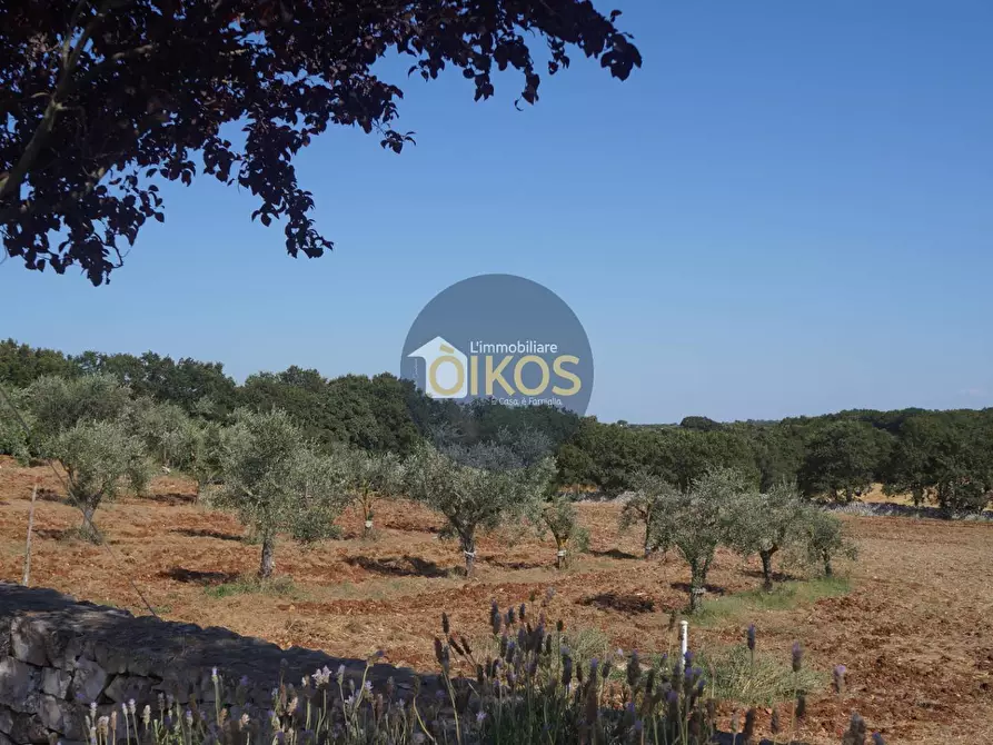 Immagine 11 di Villa in vendita  in Strada Vicinale Scarcioppola a Noci