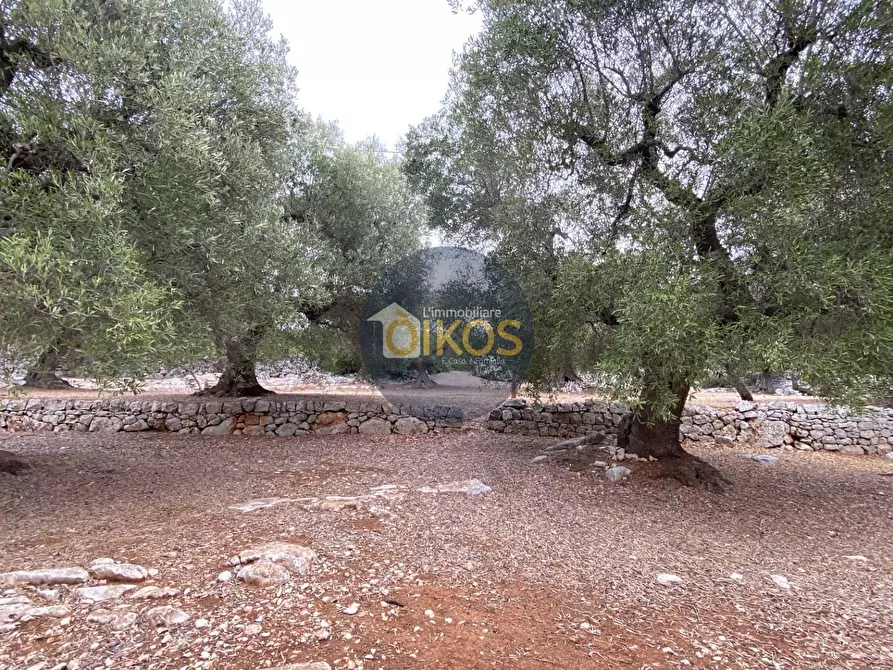 Immagine 22 di Terreno residenziale in vendita  in Contrada Bellocchio a Monopoli
