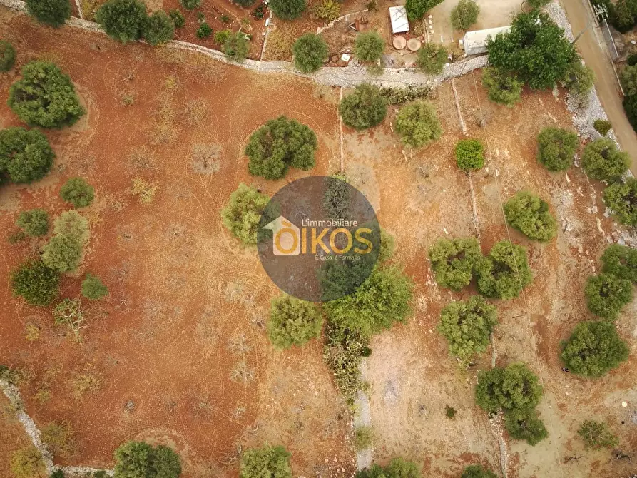 Immagine 23 di Terreno residenziale in vendita  in Contrada Bellocchio a Monopoli