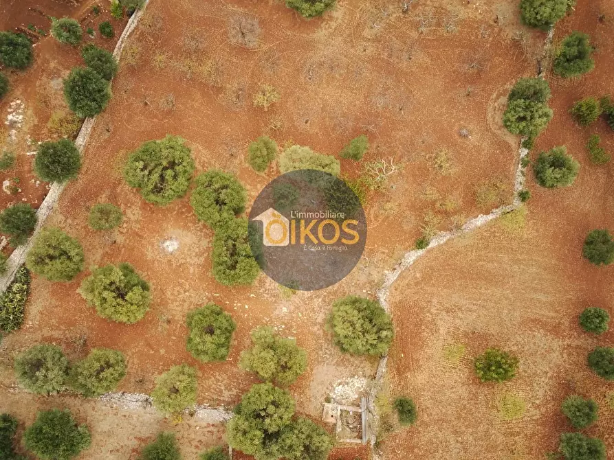 Immagine 24 di Terreno residenziale in vendita  in Contrada Bellocchio a Monopoli