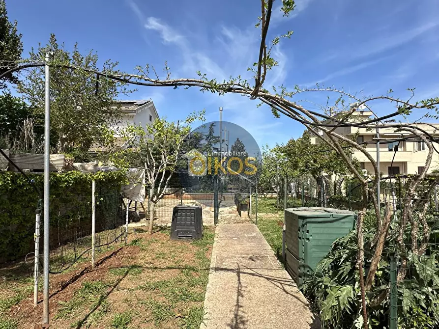 Immagine 26 di Villa in vendita  in Strada Comunale Scamardella a Castellana Grotte