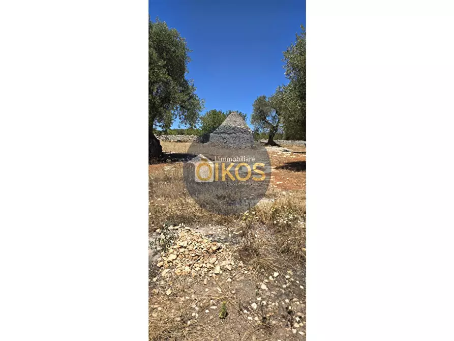 Immagine 2 di Terreno agricolo in vendita  in contrada conchia a Monopoli