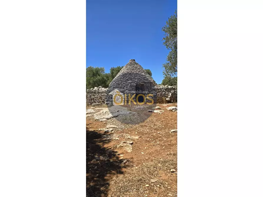 Immagine 13 di Terreno agricolo in vendita  in contrada conchia a Monopoli