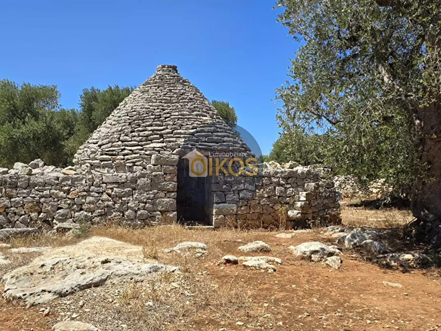 Immagine 14 di Terreno agricolo in vendita  in contrada conchia a Monopoli